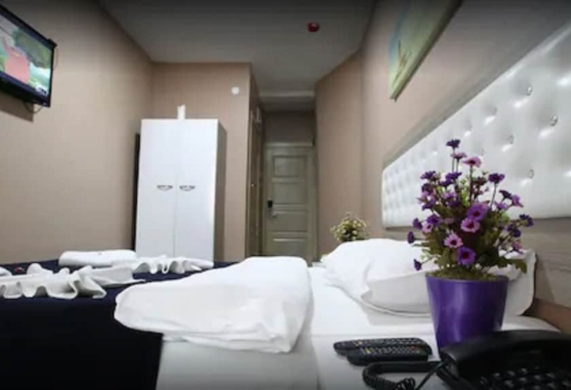 Fotos del hotel Luce Suites Taksim:  36