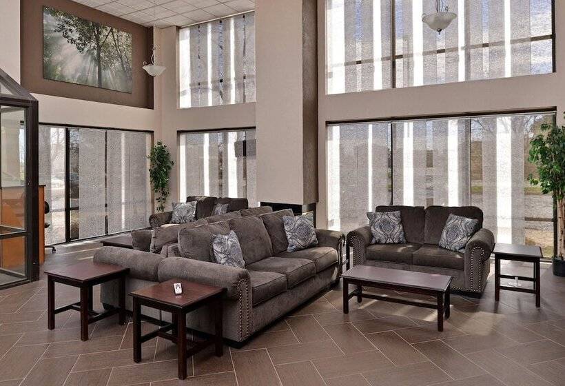 酒店 Quality Inn & Suites Matteson Near I57