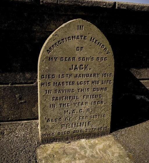 Fotos del hotel Shard Riverside:  27