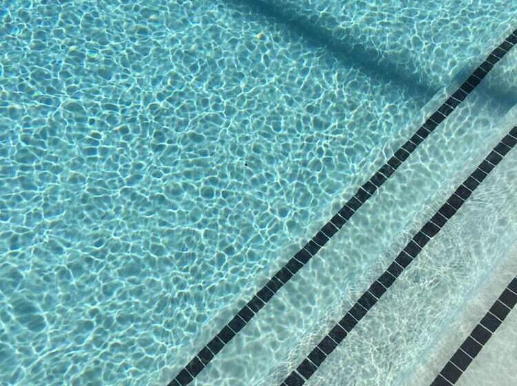 هتل The Palm Springs