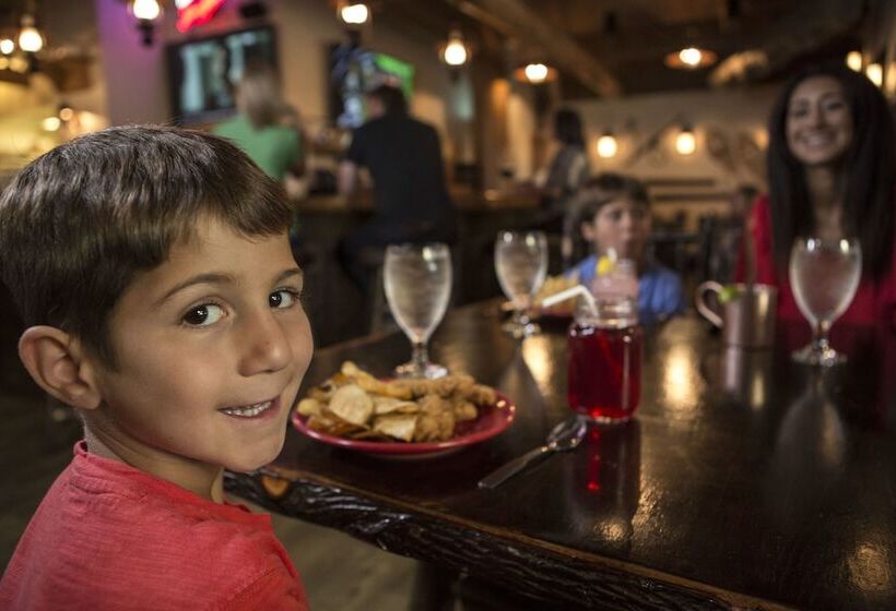 هتل Timber Ridge Lodge And Waterpark