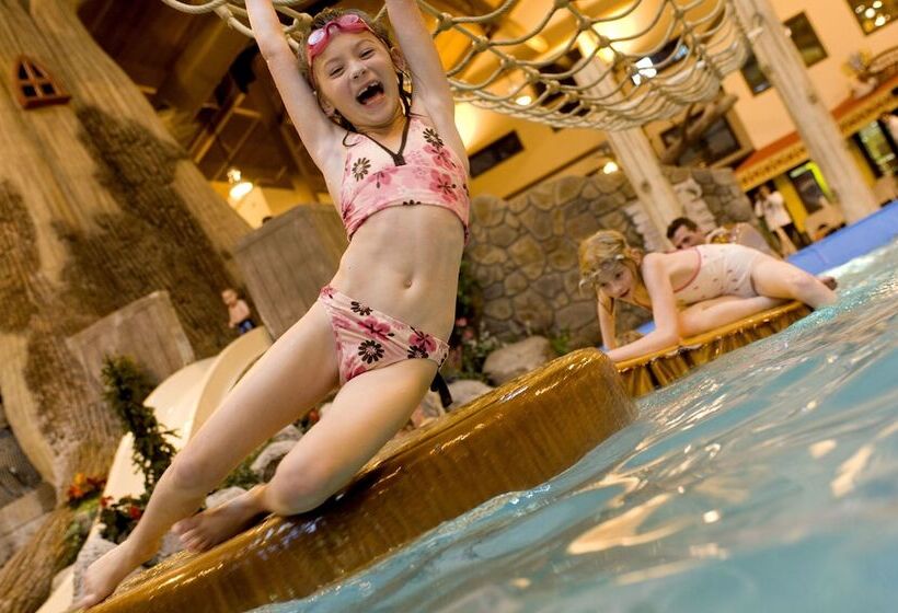 هتل Timber Ridge Lodge And Waterpark