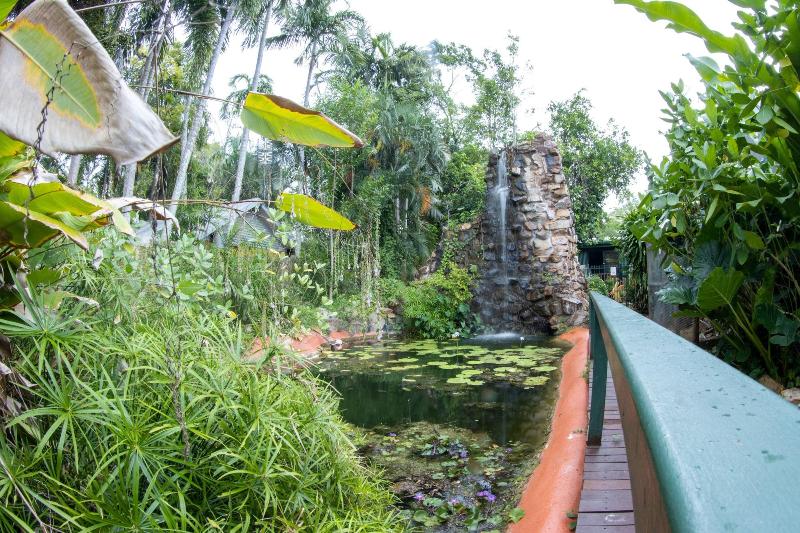 پانسیون Batchelor Butterfly Farm