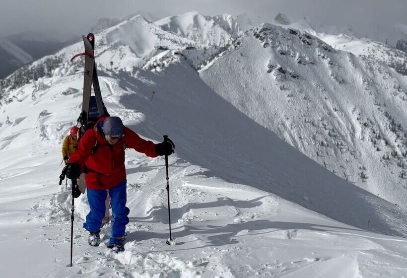 استراحتگاه Vagabond Lodge At Kicking Horse