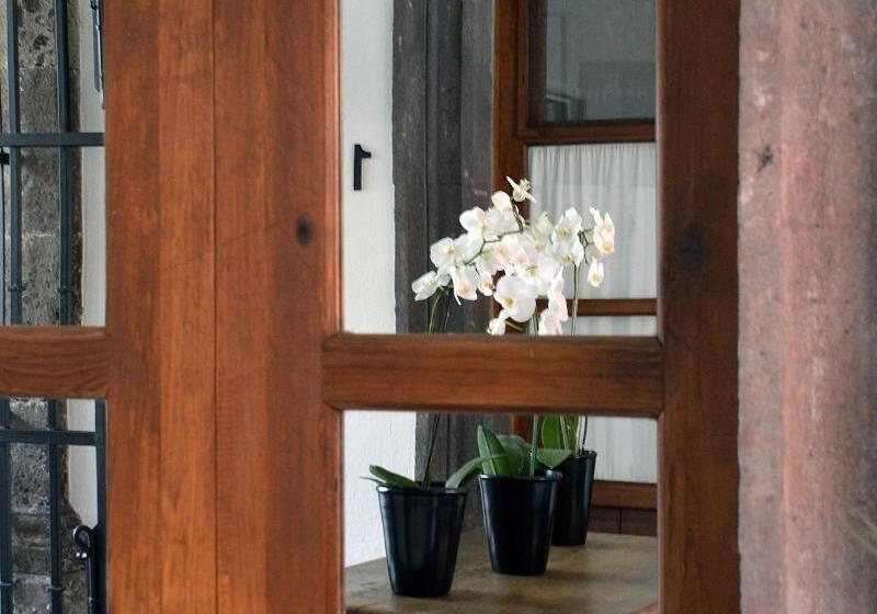 تختخواب و صبحانه Casa De Los Olivos