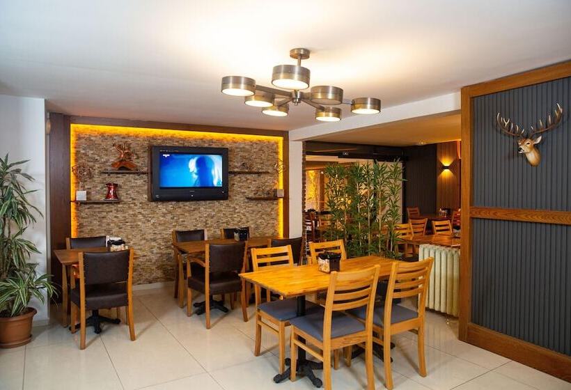 Fotos del hotel Zirve:  22