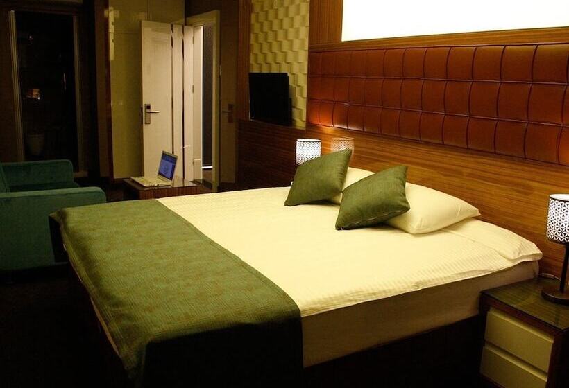 Fotos del hotel Ata?ehir Palace:  12