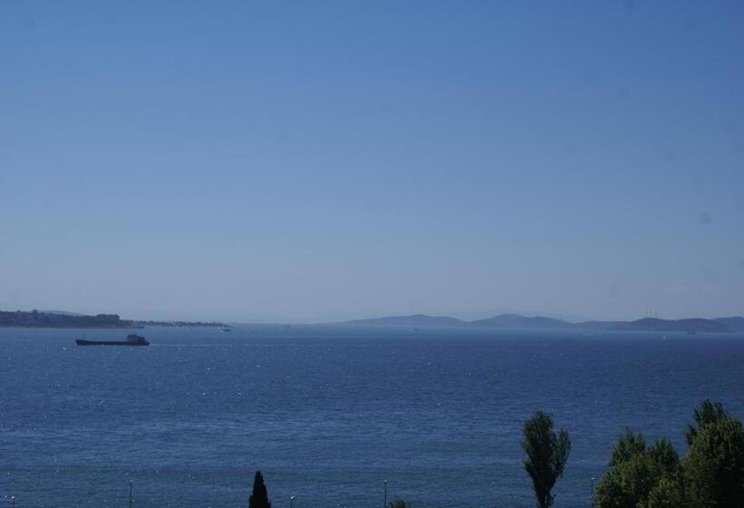 Fotos del hotel Mytra:  9