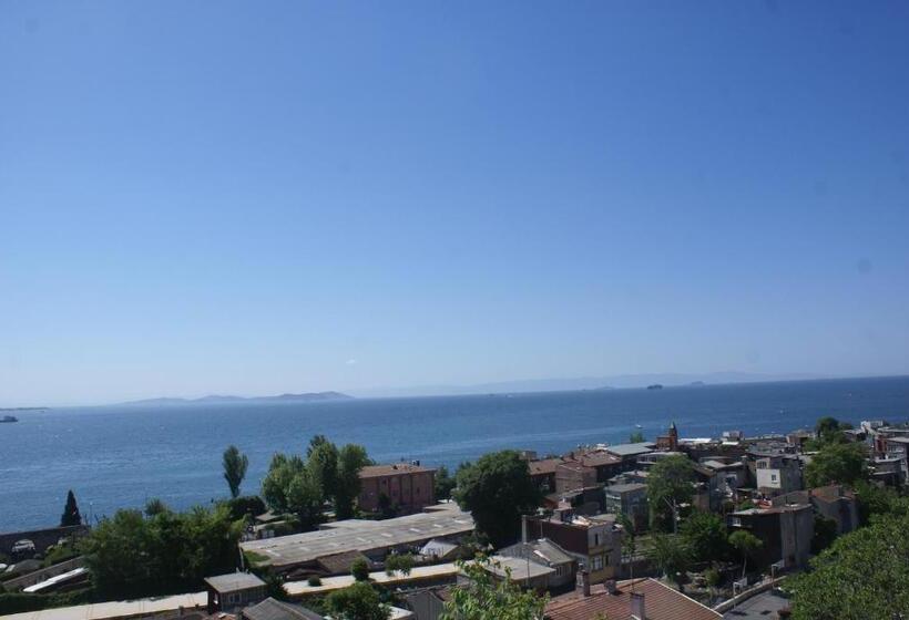 Fotos del hotel Mytra:  10