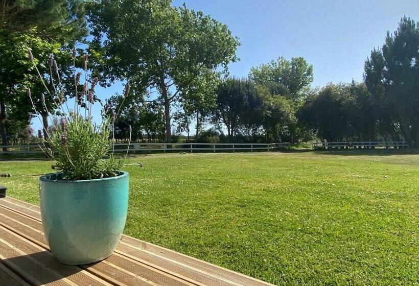 هتل روستایی Herdade Moita Mar   Country & Sea