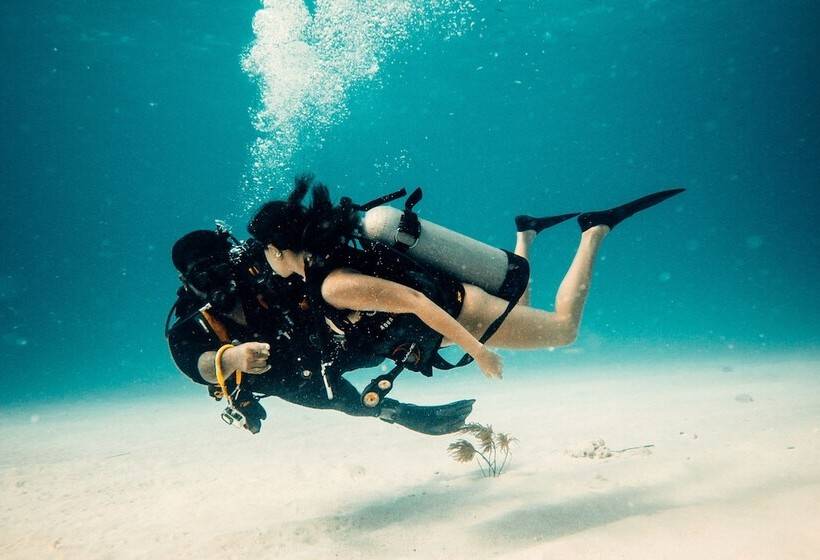 Fotos del hotel Viajero Hostel San Andres:  12