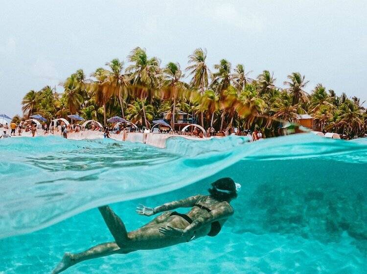 Fotos del hotel Viajero Hostel San Andres:  2