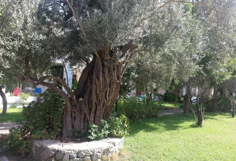 Muskebi Apart Otel