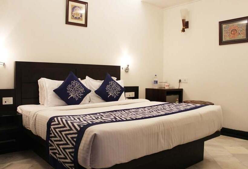 Fotos del hotel The Hotel Mumtaz Mahal:  11