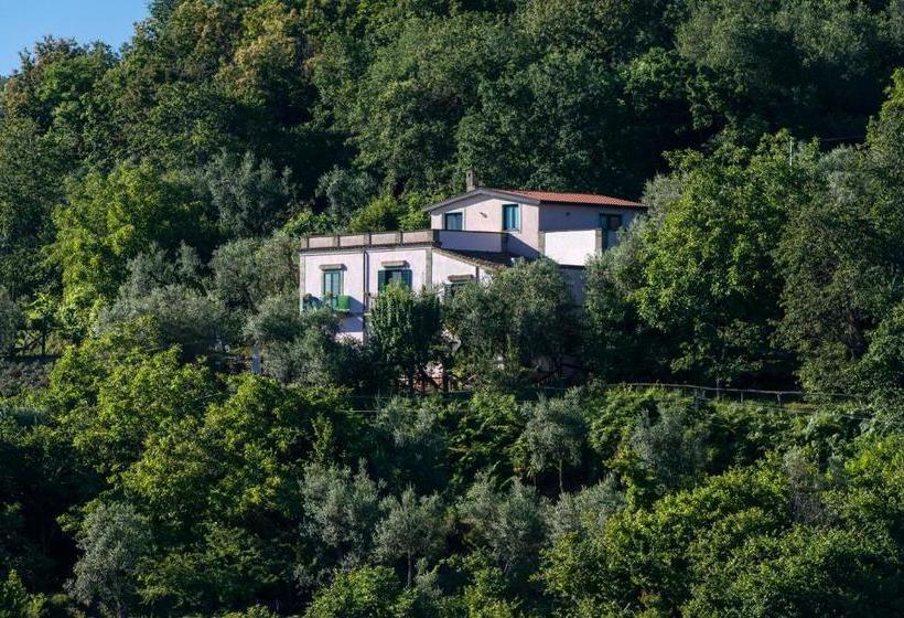 Bed and Breakfast Il Casale Sorrento