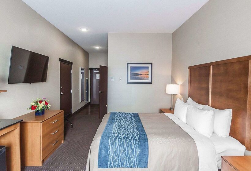 Hotel Comfort Inn & Suites Bonnyville