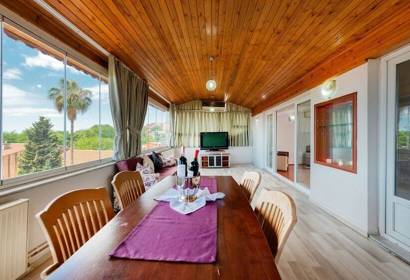 Fotos del hotel Dualis:  11