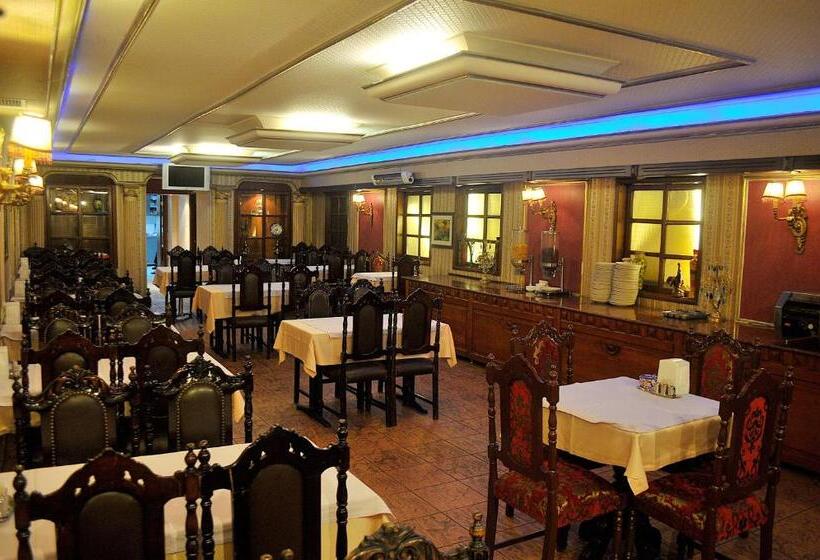 Fotos del hotel Grand  De Londres:  10