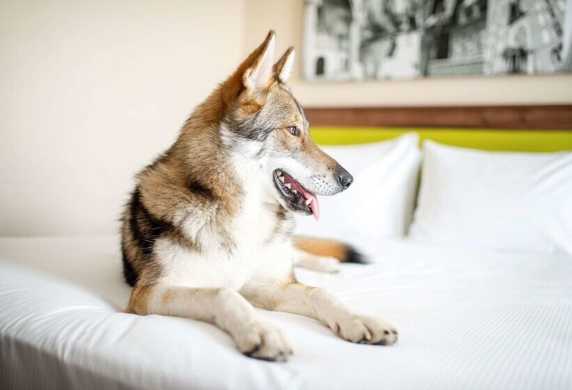 Fotos del hotel Hampton By Hilton Krakow:  28