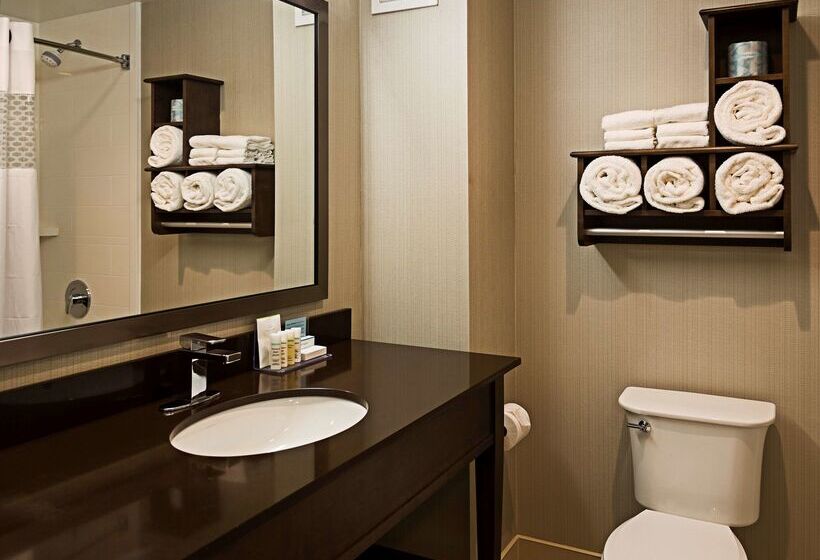 هتل Hampton Inn By Hilton Ottawa Airport, On, Cn