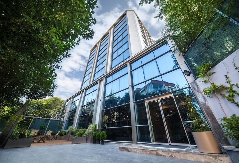 Fotos del hotel Molton Monapart Mecidiyekoy:  19