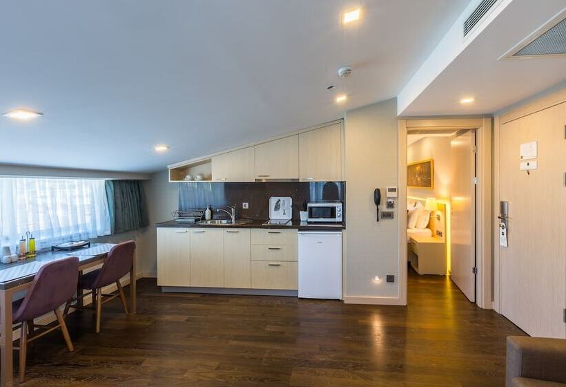 Fotos del hotel Molton Monapart Mecidiyekoy:  42