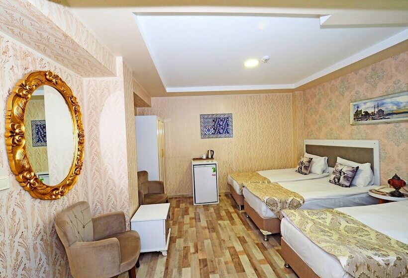 Fotos del hotel Nagehan  Old City:  21