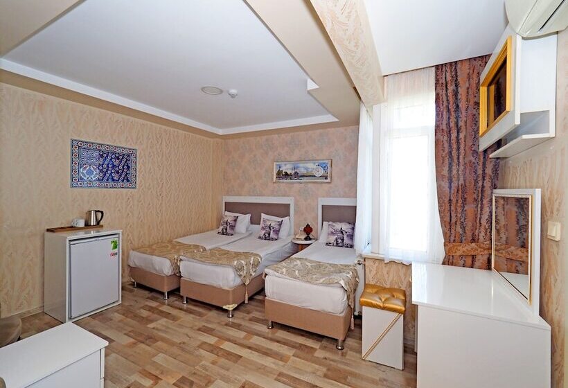 Fotos del hotel Nagehan  Old City:  3