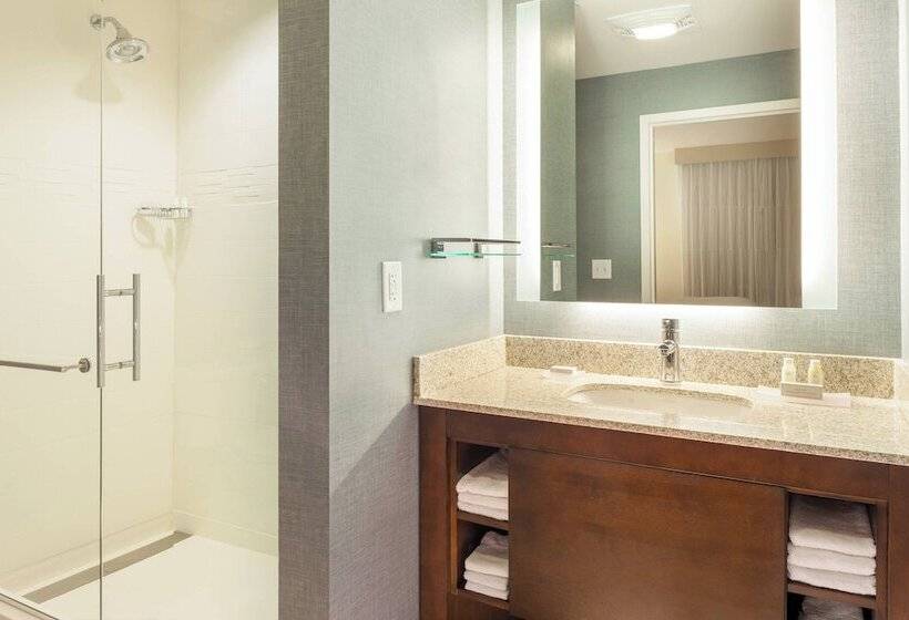 Fotos del hotel Residence Inn By Marriott Orlando Downtown:  20