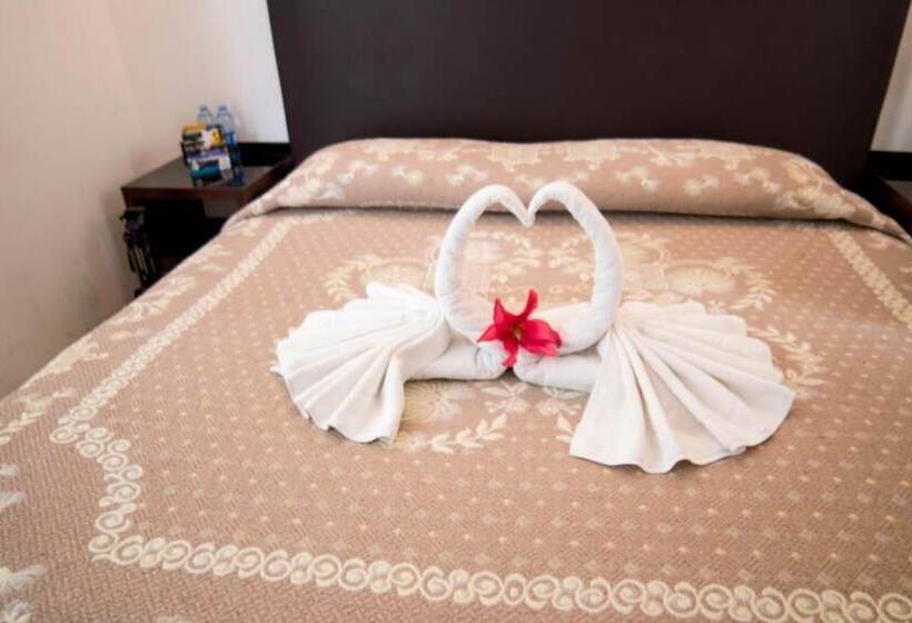 Fotos del hotel Ross Morelia:  24