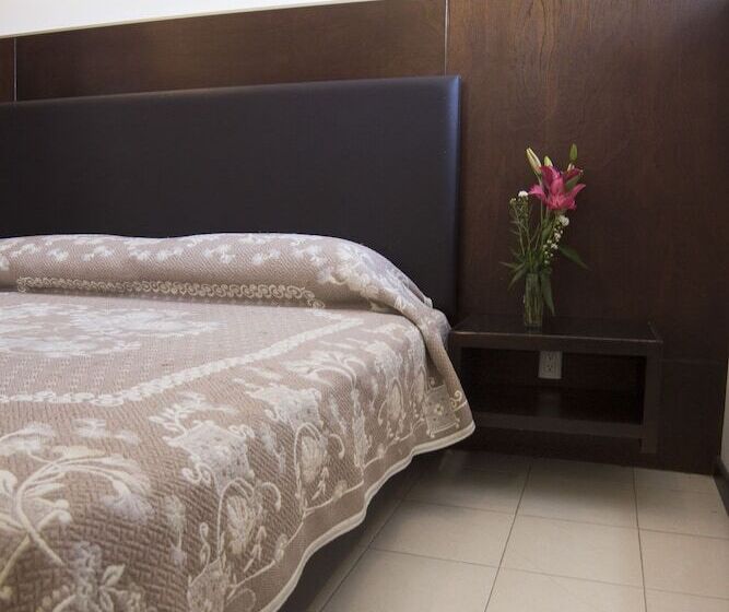 Fotos del hotel Ross Morelia:  33