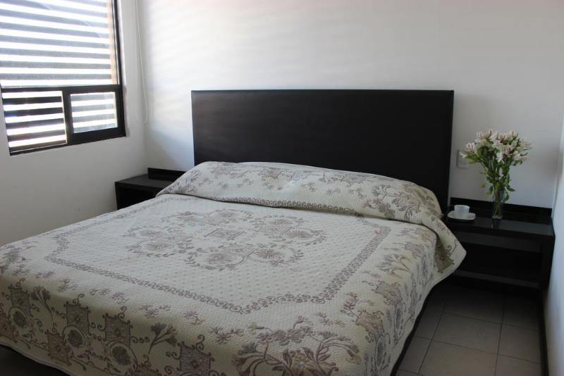 Fotos del hotel Ross Morelia:  6