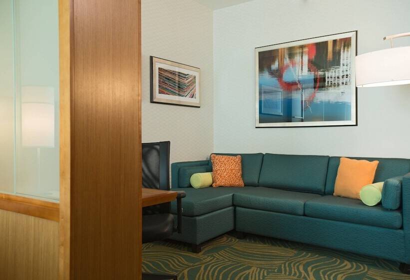 Отель Springhill Suites By Marriott Nashville Vanderbilt/west End