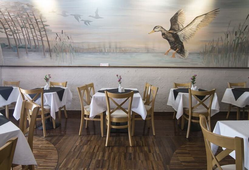 Fotos del hotel Wawel:  27