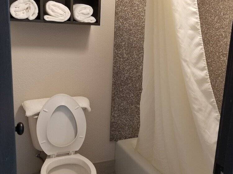 فندق على الطريق Homestay Inn & Suites