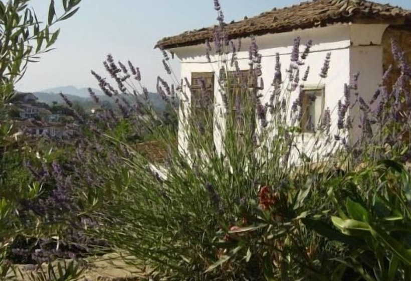 پانسیون Terrace Houses Sirince   Fig, Olive Clockmakers And Grapevine