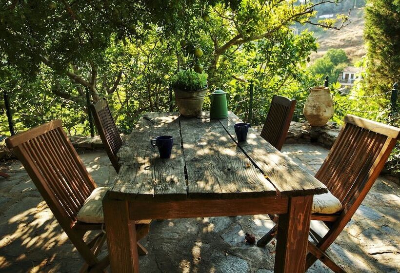 پانسیون Terrace Houses Sirince   Fig, Olive Clockmakers And Grapevine