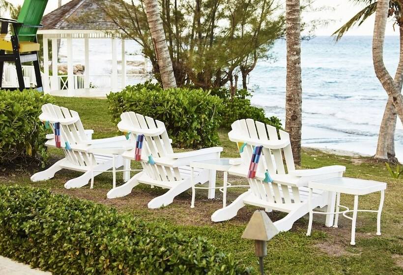 Fotos del hotel Hyatt Ziva Rose Hall - All Inclusive:  2