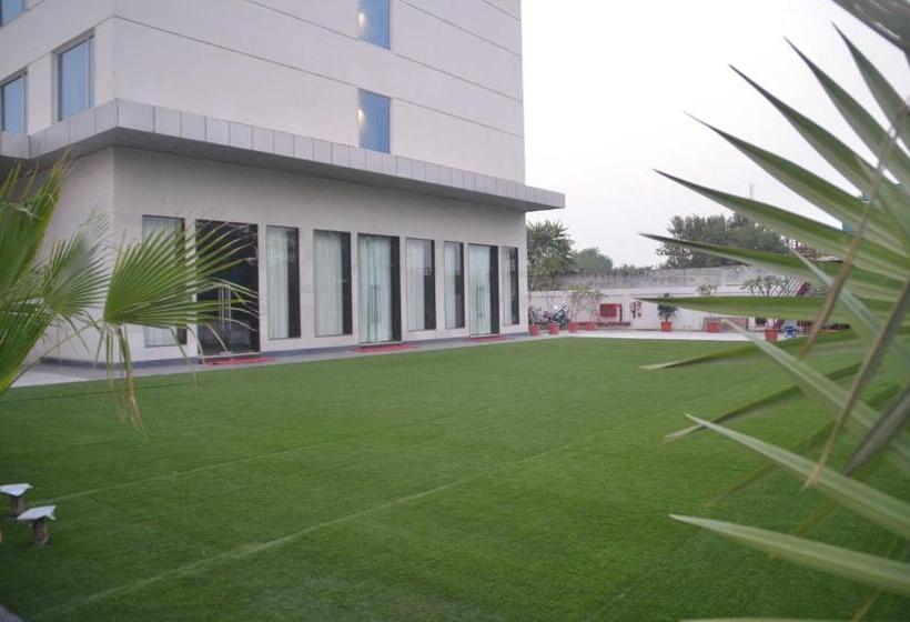 Fotos del hotel Marigold:  5