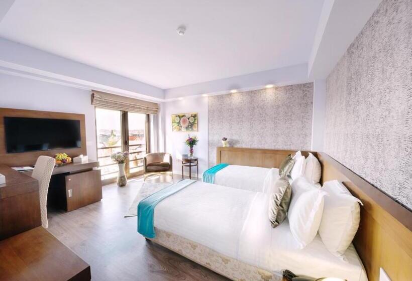 Fotos del hotel Phoenicia Comfort:  6