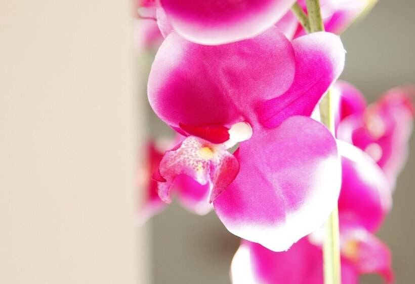 Fotos del hotel Poma:  23