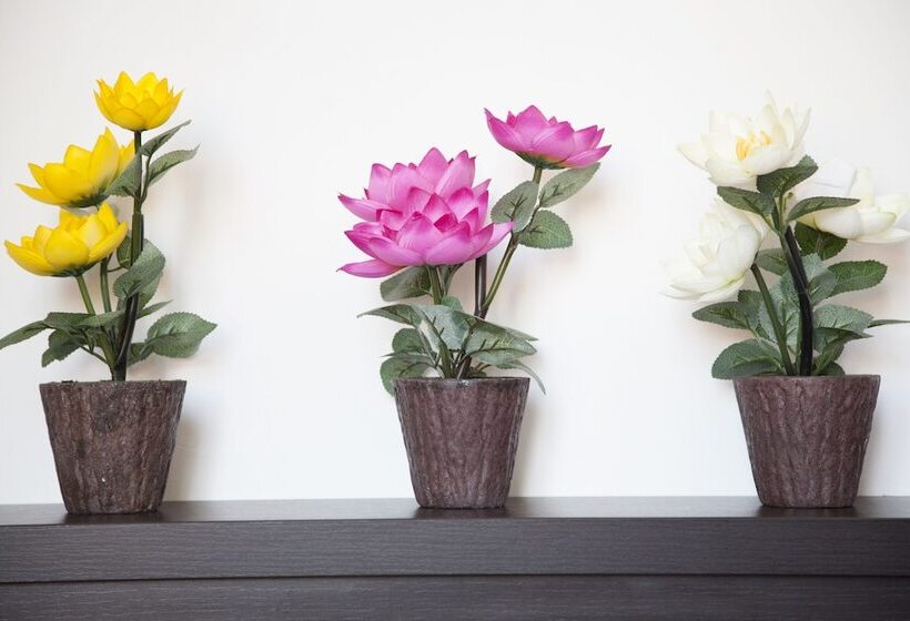 Fotos del hotel Poma:  20