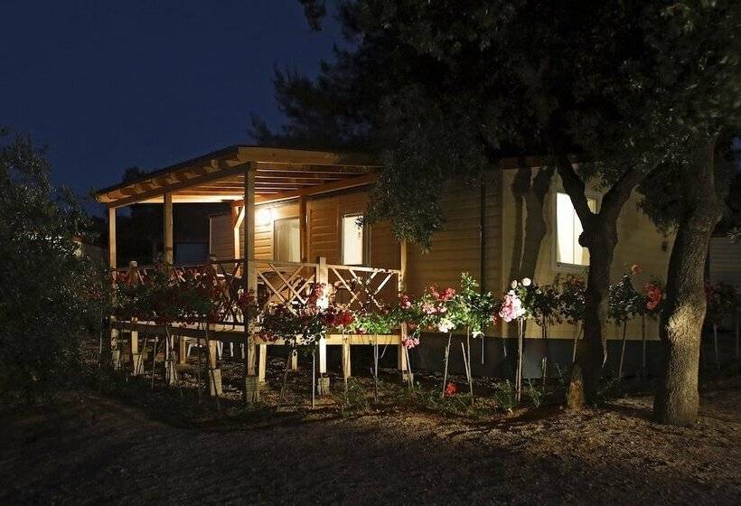 هتل Amadria Park Camping Sibenik Mobile Homes