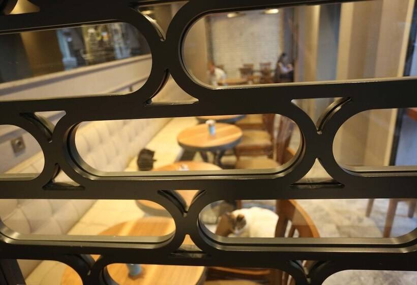 Fotos del hotel Taksim Premium:  35