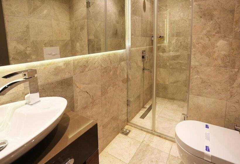Fotos del hotel Taksim Premium:  27