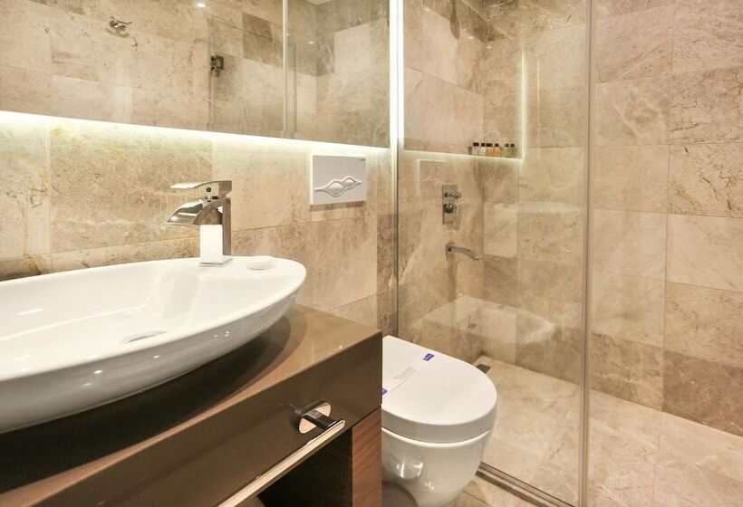 Fotos del hotel Taksim Premium:  18