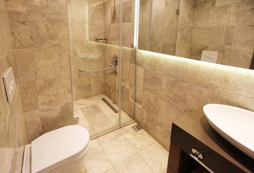 Fotos del hotel Taksim Premium:  24