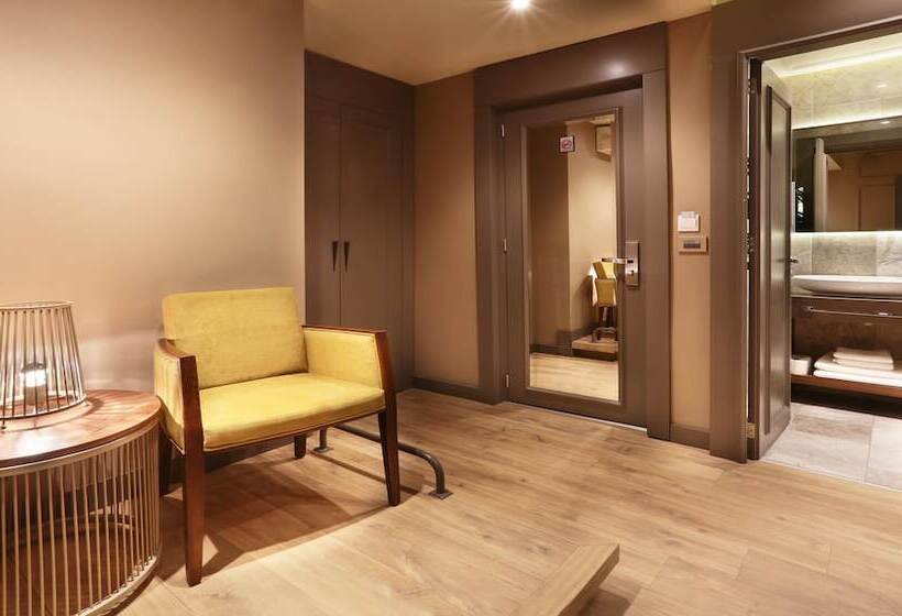 Fotos del hotel Taksim Premium:  25