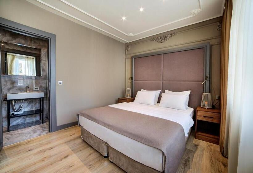 Fotos del hotel Taksim Premium:  8