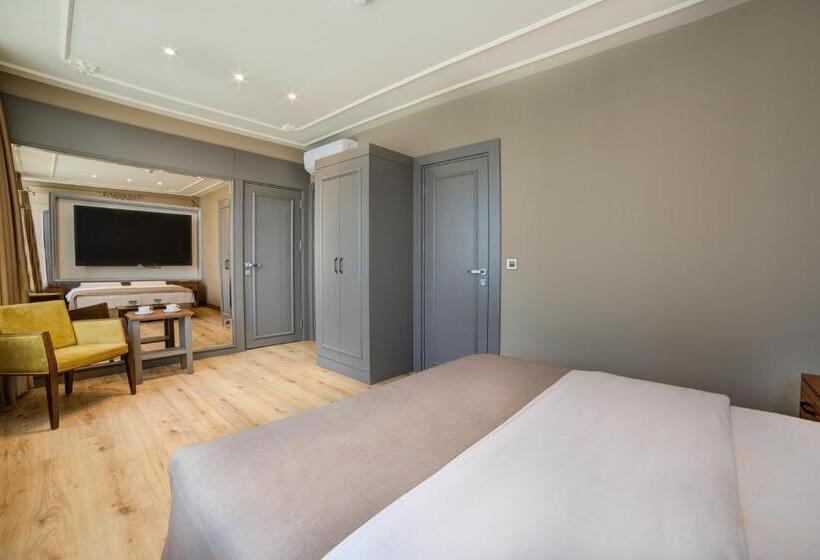 Fotos del hotel Taksim Premium:  7